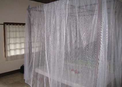 Mosquito Net